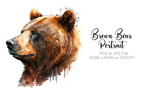 Brown Bear Watercolor Portrait Graphic by Dukono · Creative Fabrica