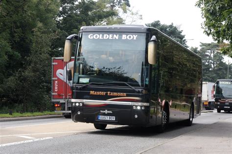 Golden Boy Xx Boy Hindhead David Beardmore Flickr