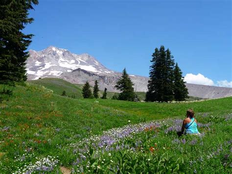 Paradise Park Trail – NW Horse Trails