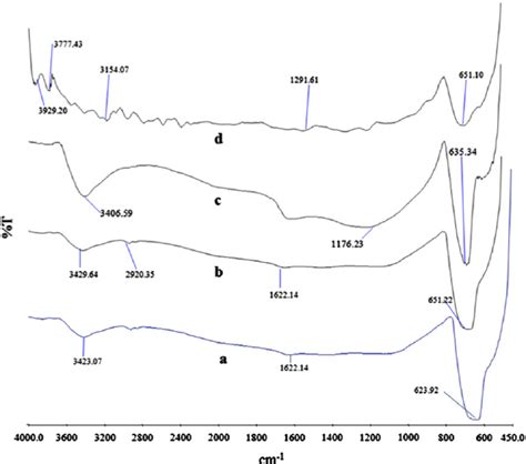 Ftir Spectrum Of Sno 2 Nanoparticles After Calcination At 600 1 C With