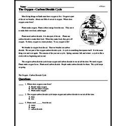 The Oxygen - Carbon Dioxide Cycle - Reading Comprehension ... - Worksheets Library