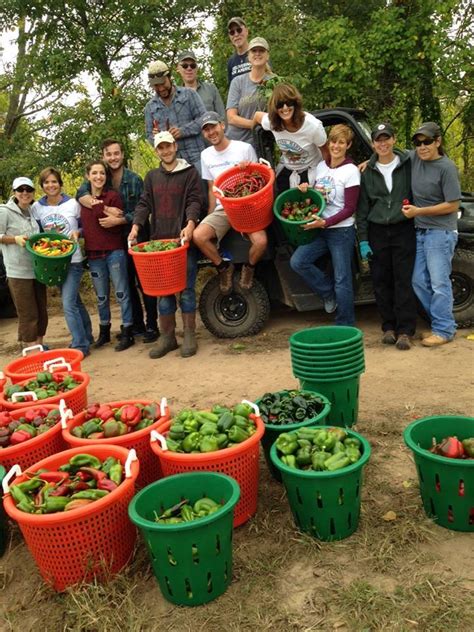 Our Valiant Volunteers In Action Rolling Harvest Food Rescue