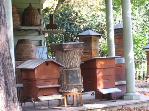 Windmill Farm Beehives Bee Skeps In Gardens And Home Decorating