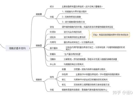 生物高中必修一第一单元知识点总结思维导图怎么做？ 知乎