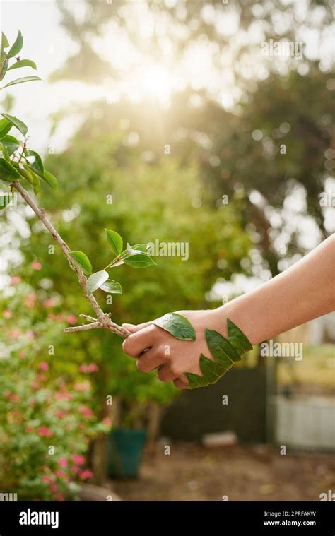 Hand In Hand With Nature An Unidentifiable Young Man Shaking Hands