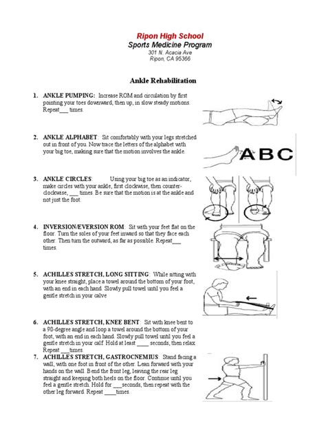 ankle rehab  foot anatomical terms  motion