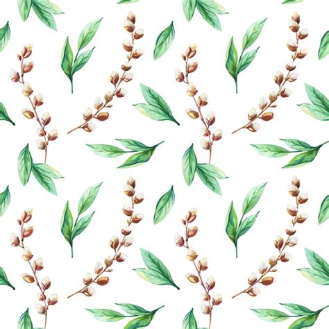 Premium Photo Watercolor Pussy Willow And Green Leaves On A White Background