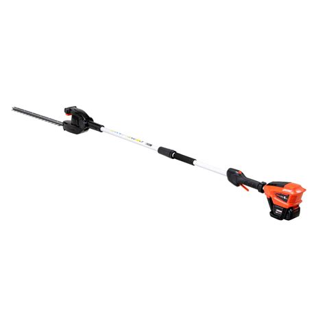 Echo Hca Es Hd Long Reach Petrol Hedge Trimmer Radmore Tucker