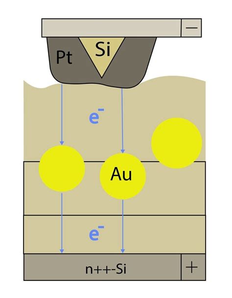 A Schematic Representation Of The Experimental Setup For Studying The