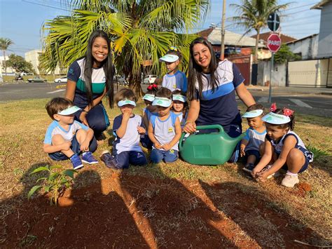 Alunos da Educação Adventista plantam mudas de Ipê em comemoração ao