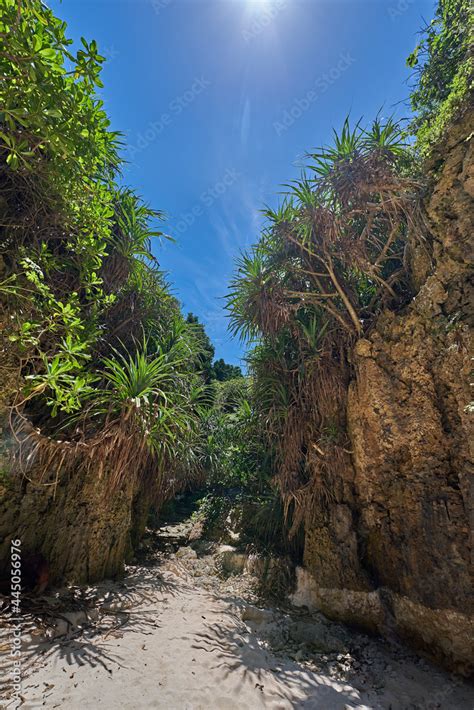 備瀬のワルミ 裂けた崖と熱帯植物と砂浜の道 foto de Stock Adobe Stock