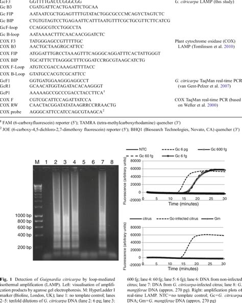 Primers and probes used in this study Primer name Sequence (5′-3 ...