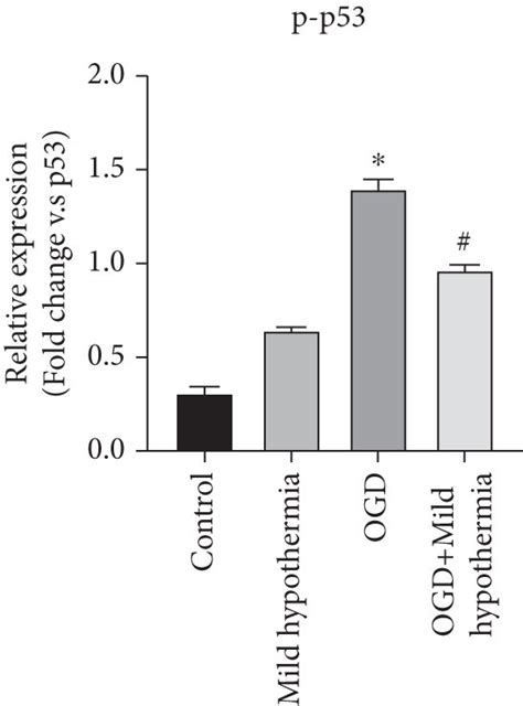 Mild Hypothermias Effect On Cell Apoptosis And The Inflammasome