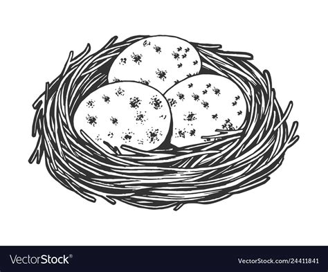 Nest With Eggs Sketch Engraving Royalty Free Vector Image