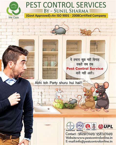 Rodent Control Services In Jaipur Pest Control Services Pest Control