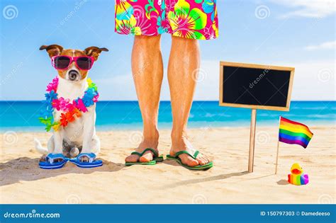 Perro Y Dueño Del Orgullo Gay El Vacaciones De Verano Imagen de archivo Imagen de humor gato