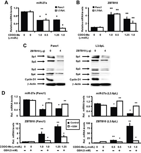 Effect Of CDDO Me On The Expression MiR 27a And ZBTB10 MRNA And Role Of