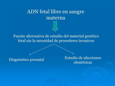 Ppt Adn Fetal En Sangre Materna Powerpoint Presentation Free