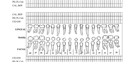 Perio Chart Printable Prntbl Concejomunicipaldechinu Gov Co