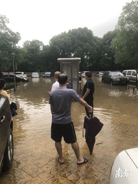 视频东莞历史性暴雨，多镇街水浸广东频道凤凰网