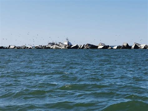 Economist predicts Latvia's export growth in 2025 / Article