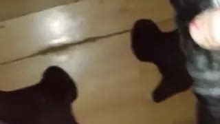 Angel Sapphire American Shemale Porn By FapHouse XHamster