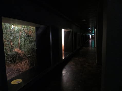 Top 10 Outstanding Facts About Natural History Museum of Bern