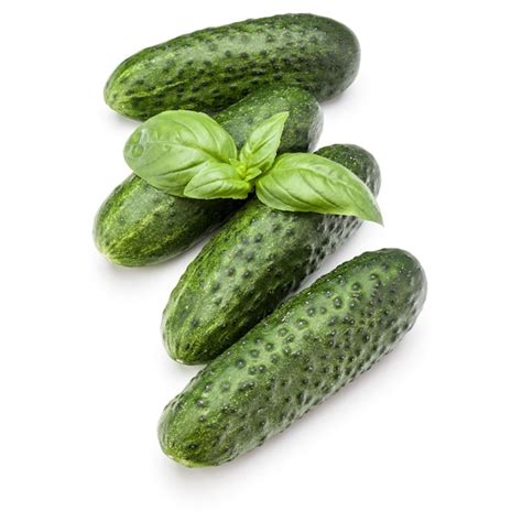 Vegetais De Pepino E Folhas De Manjeric O Isoladas Em Recorte De Fundo