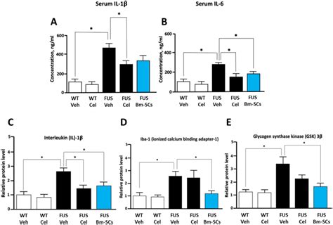 Overview Of The Elisa Serum Il 1β A And Il 6 B Levels And The