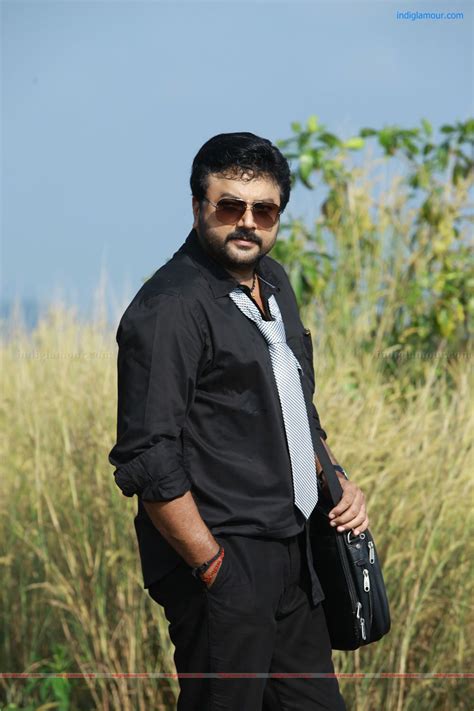 Jayaram Actor Hd Photosimagespicsstills And Picture