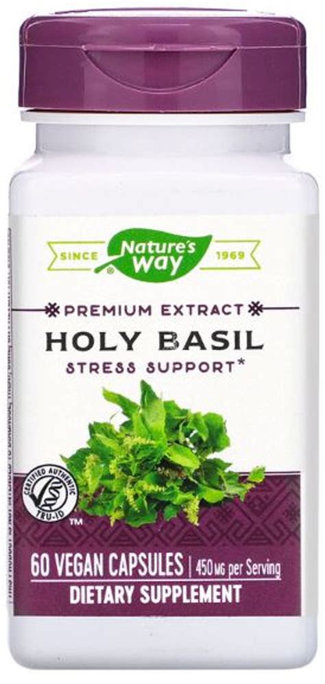 Holy Basil Extract Holy Basil Benefits Stress Adaptogen Antioxidant