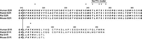 Amino Acid Sequence Alignment Of Ic Iv Of B2 And B1 Receptors From