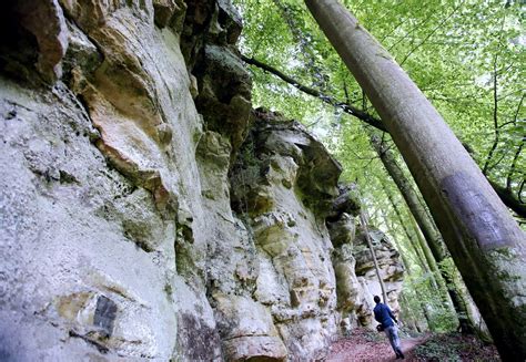 Luxembourg Tourisme Randonnée à la découverte des roches du Mullerthal