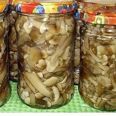 Маринованные опята. Любимый рецепт