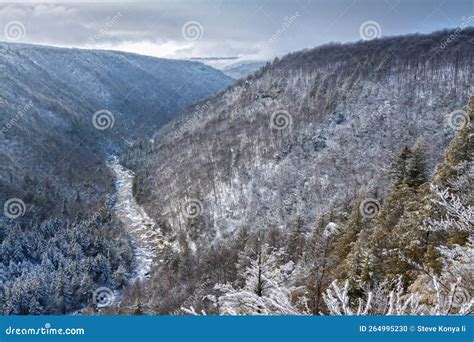 Blackwater in Winter stock photo. Image of state, blackwater - 264995230