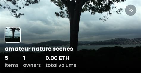 Amateur Nature Scenes Collection OpenSea