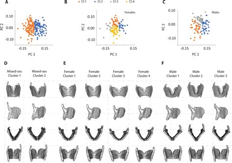 Cluster Analysis For Mixed Sex A Female B And Male C Data Sets Download Scientific