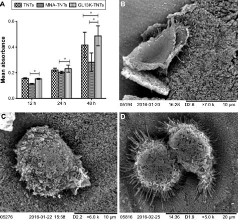 A Cck Assay Used To Evaluate Macrophage Proliferation On Samples