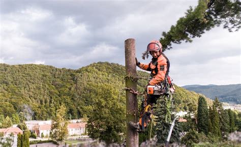 Homem Arborista Cortando Galhos Motosserra E Jogando No Ch O O