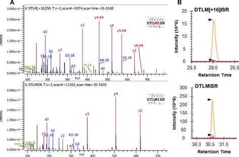 Example Ms Ms Spectra Of Peptide Identification A And Example