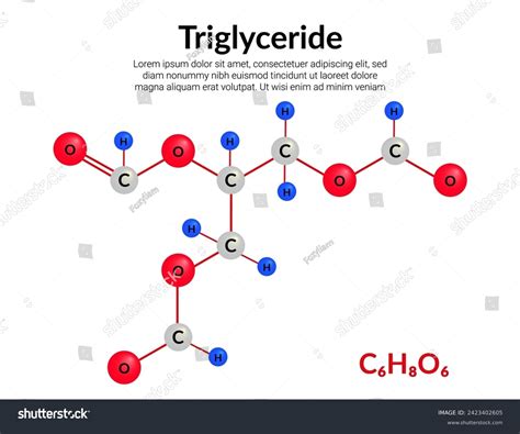 Triglyceride Molecular Structure Formula Ball And Stick Model Stock Vector Royalty Free