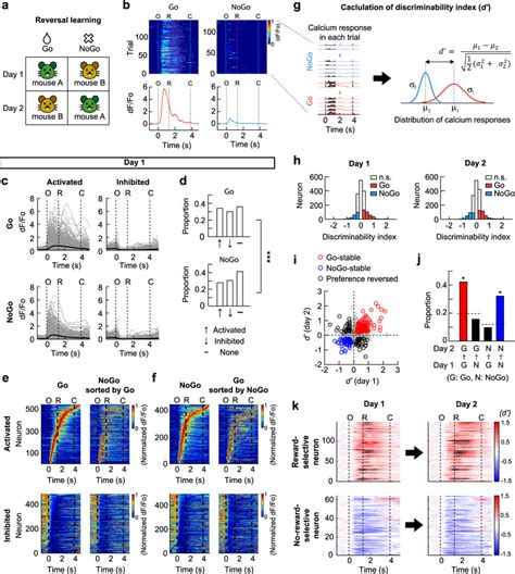 Hippocampal CA1 neurons represent the expectation of the presence and ... 