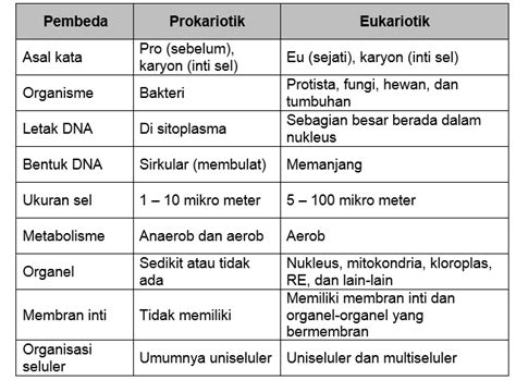 perbedaan sel eukariotik  sel prokarioti