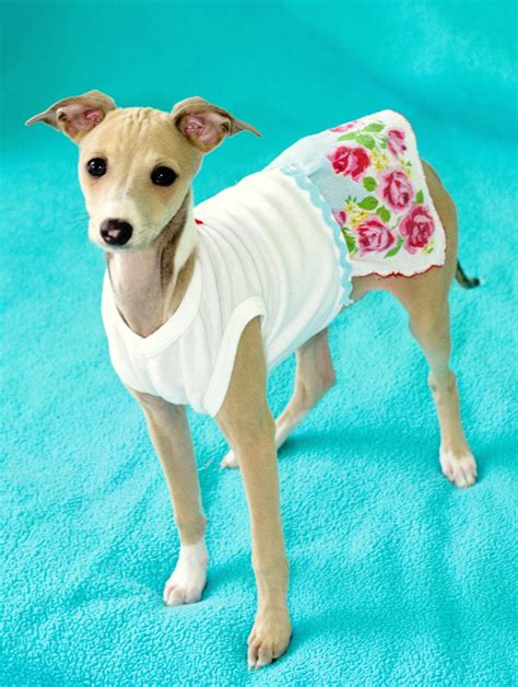 Diy Vintage Hanky Doggie Tee Dress And Meet Annabelle Jane Pillow Cases