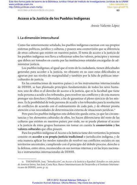 PDF Acceso a la Justicia de los Pueblos Indígenas en consideración