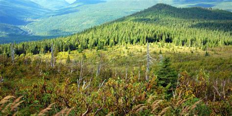 Landscape of Gaspesie National Park Stock Photo - Image of gulf, land ...