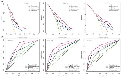 Decision Curve Analysis DCA Curves And The Time Dependent Receiver