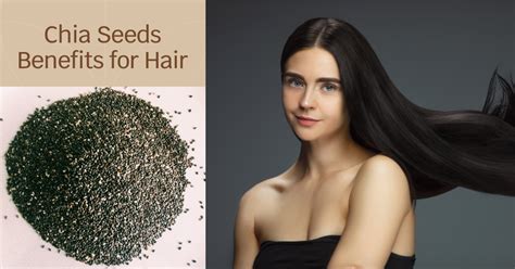 Chia Seeds Benefits For Hair Introduction Having A Good Hair Day