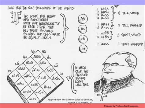 Ch1 introduction to genetics | PPT 