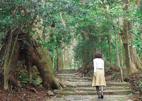 ダイナミックな自然に癒される世界遺産、熊野古道さんぽ【和歌山】｜じゃらんニュース